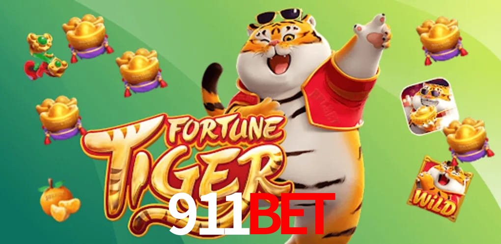 Experiência VIP 911Bet